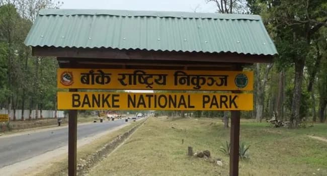 बाँके राष्ट्रिय निकुञ्ज क्षेत्रमा सवारी ‘टाइम कार्ड’ को अवधि घट्यो