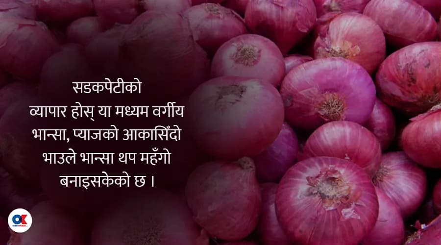 प्याजको भाउ प्रतिकिलो एक सय रुपैयाँ, चाडपर्वअघि अझै महँगिने आकलन