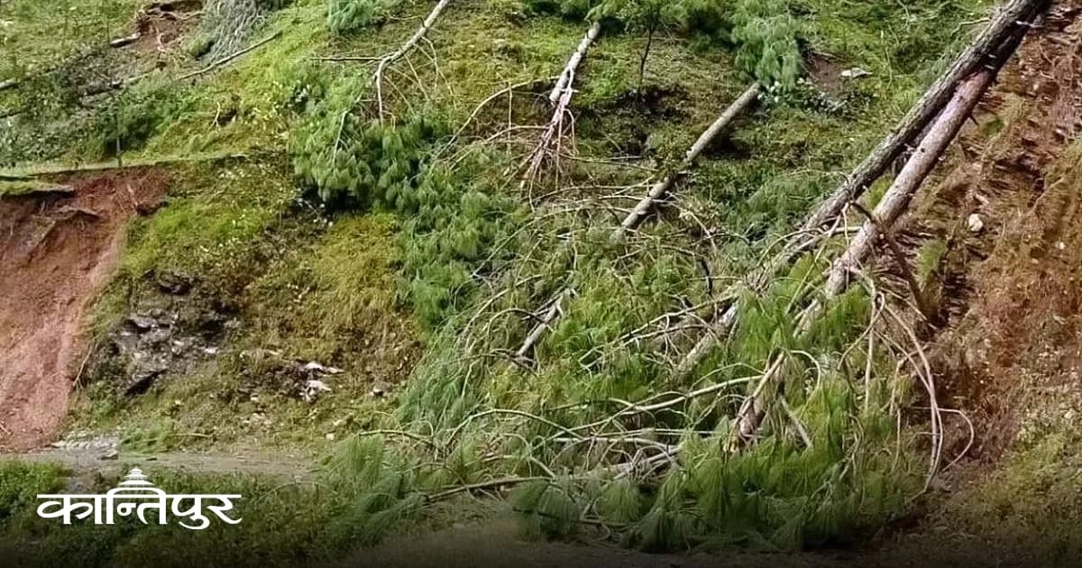 सल्यानमा हुरीले ढालेका रूख नहट्दा दुई दर्जनभन्दा बढी सडक चार दिनदेखि अवरुद्ध, तीन हजार परिवार प्रभावित