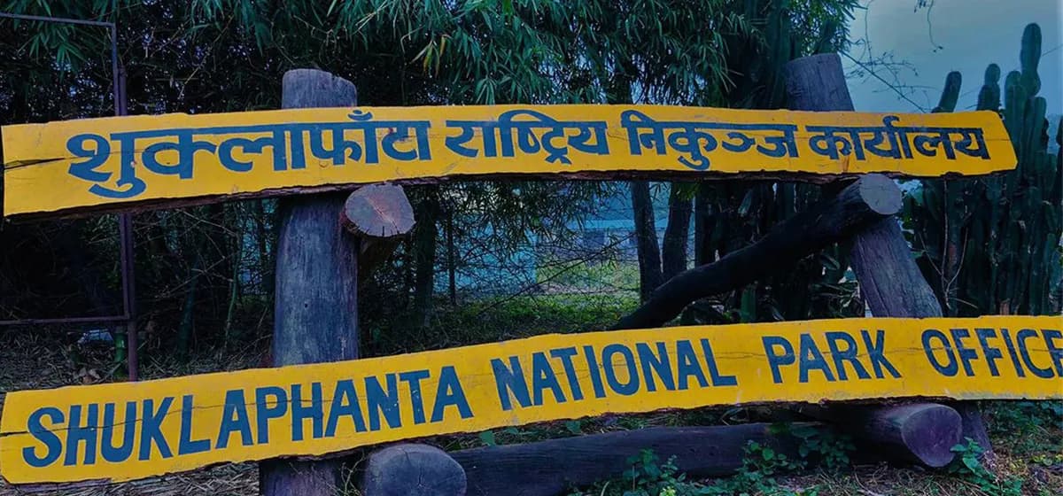 शुक्लाफाँटामा जङ्गल सफारी सुरु, दसैँ–तिहारका पर्यटकलाई लक्षित